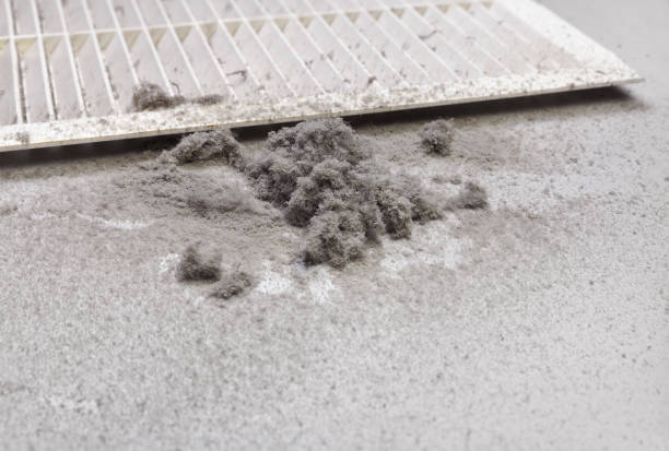 Best Professional Duct Cleaning Services  in South Holland, IL
