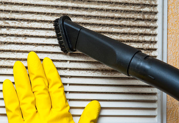 Best Affordable Air Duct Cleaning  in South Holland, IL
